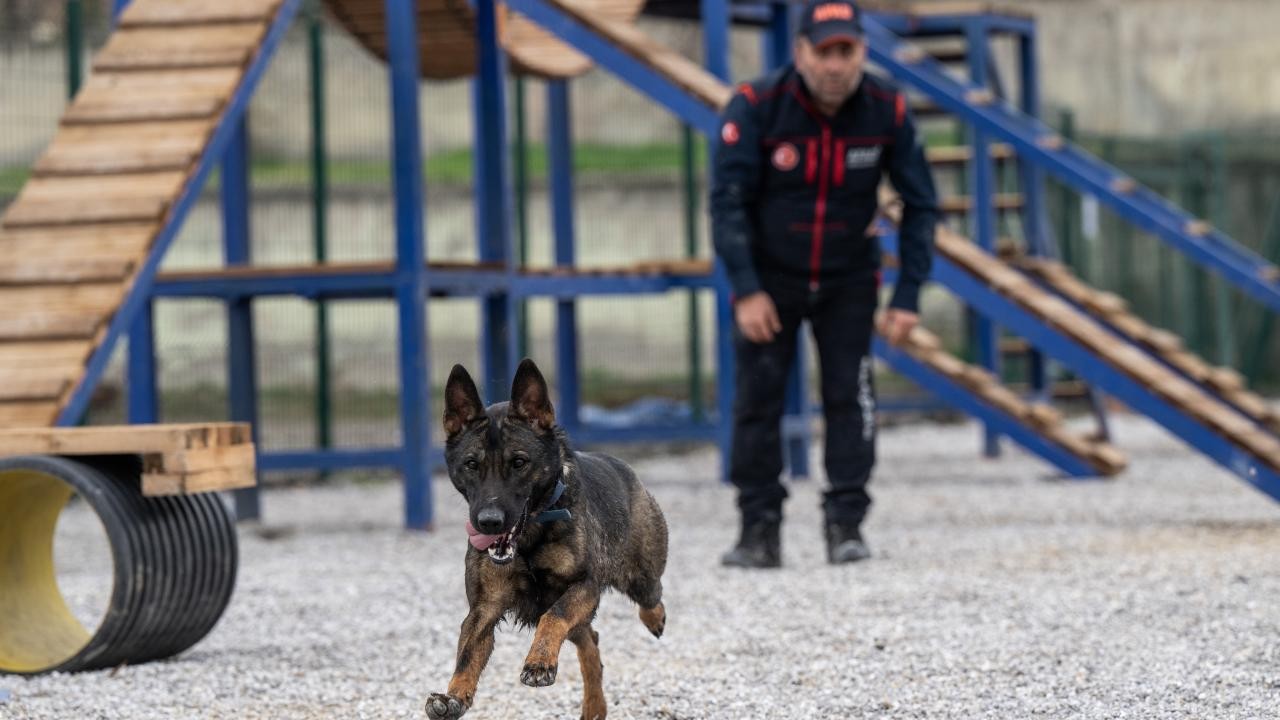 Köpekli Arama Timi Çalışma ve Sınav Yönetmeliği Yayımlandı