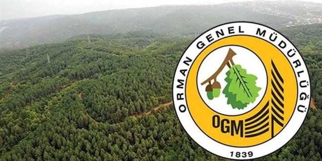 Orman Genel Müdürlüğü 3 Bin 477 Sözleşmeli Personel Alımı Sonuçları Açıklandı