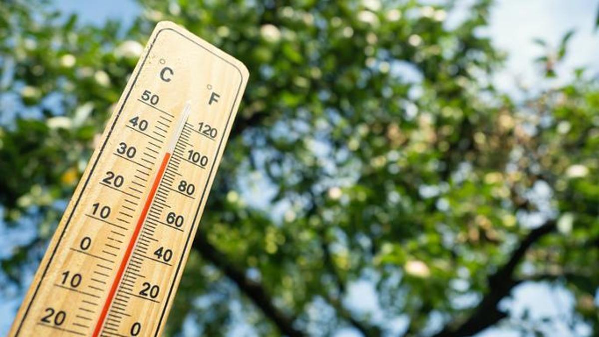 Kurban Bayramı Hava Durumu: Meteoroloji 5 Günlük Tahmini Yayınladı