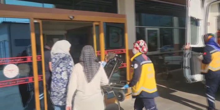 Konya'da Pikniğe Giden Kişiyi Yılan Isırdı