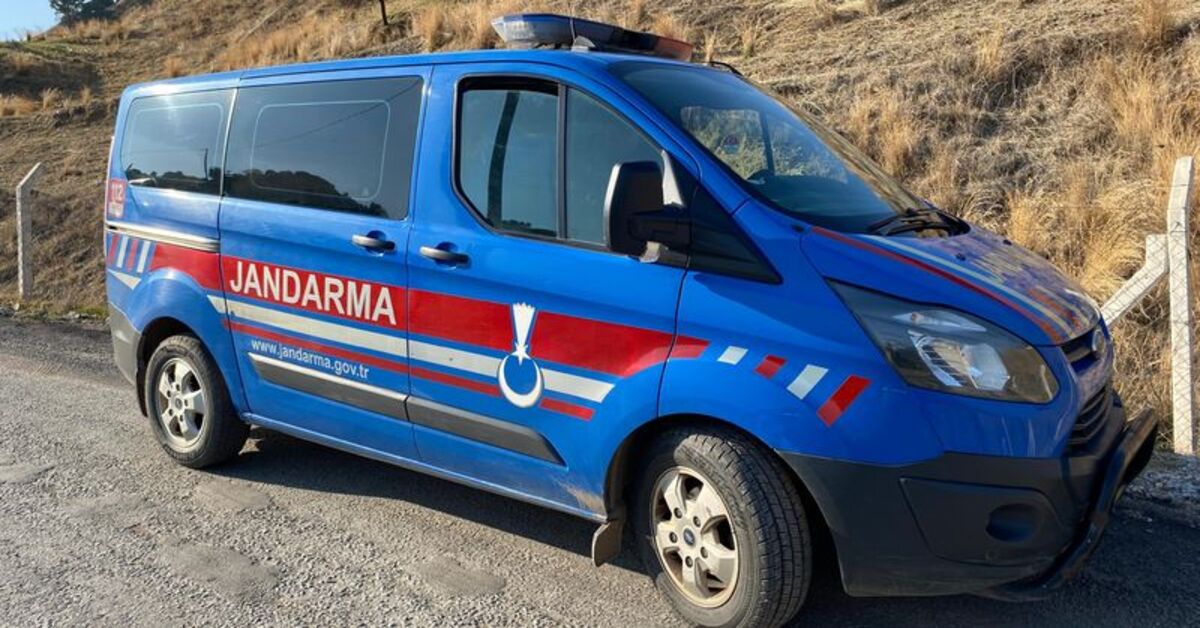Aydın'da 17 Yaşındaki Damla Gülüş Hayvan Damında Ölü Bulundu