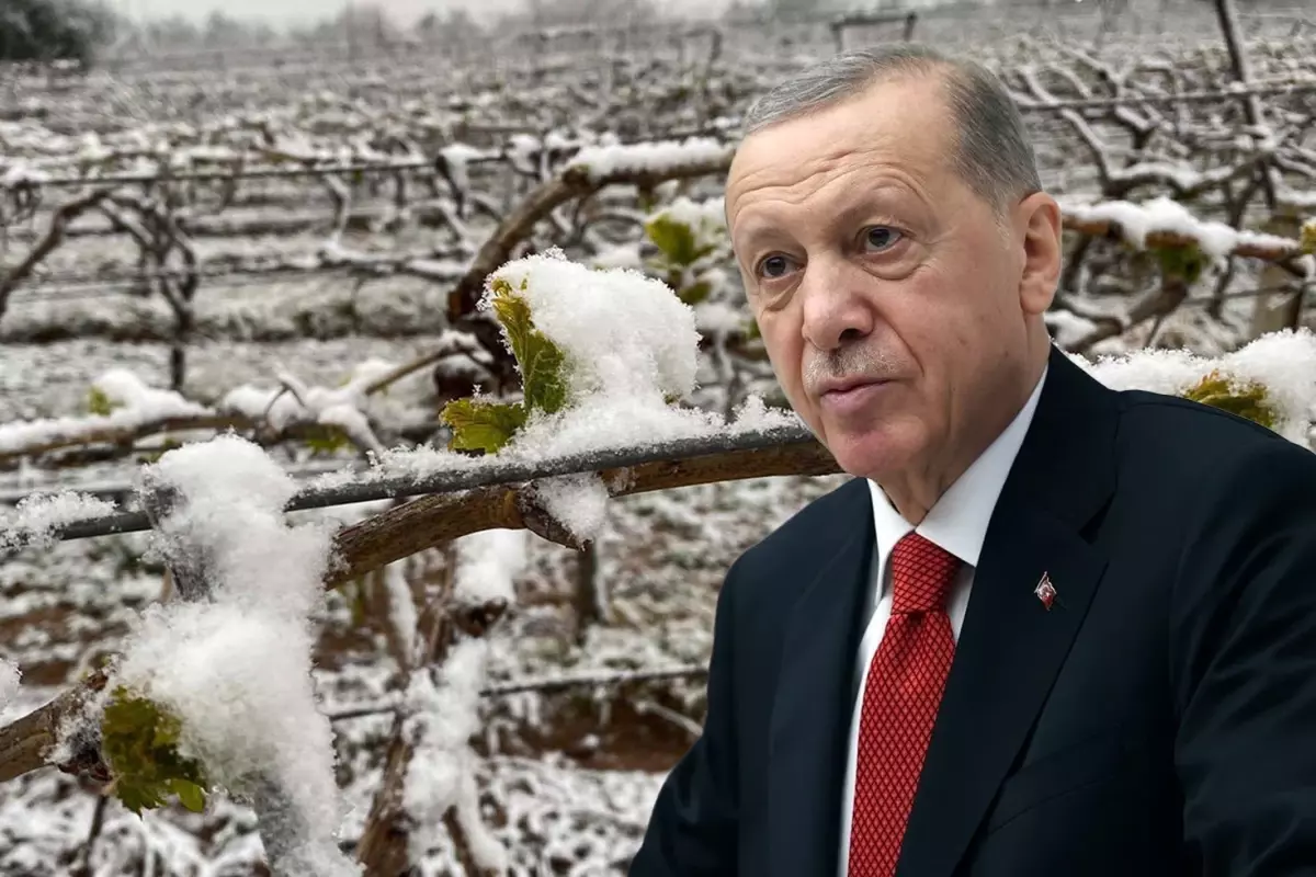 Erdoğan, Bu Yıl Yaşanacak Sıkıntıları ve Etkilenen Ürünleri Açıkladı
