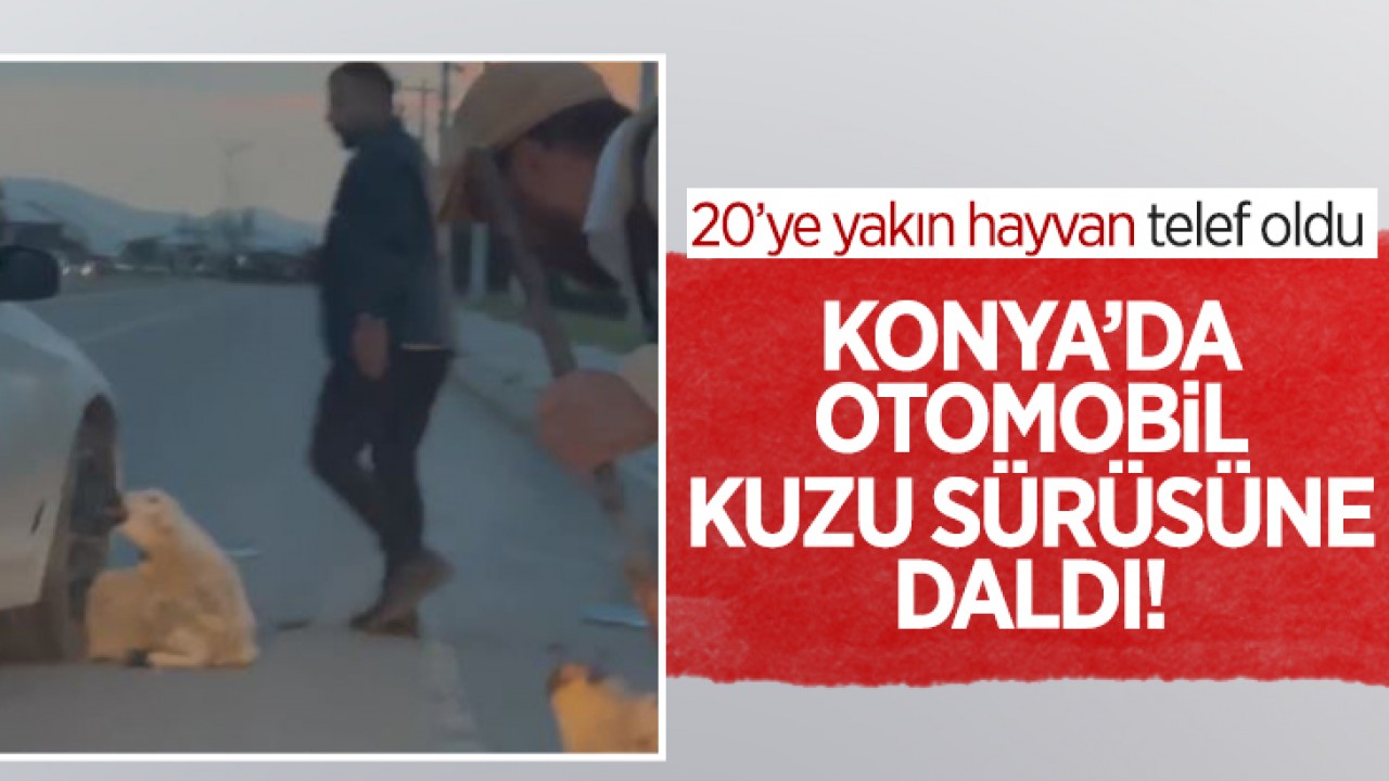 Konyada Otomobilin Çarptığı Kuzulardan 20'si Hayatını Kaybetti