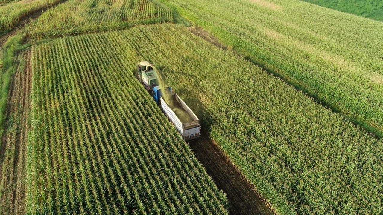 Çiftçilere 51 Milyar Liralık Destekleme Ödemesi Başladı