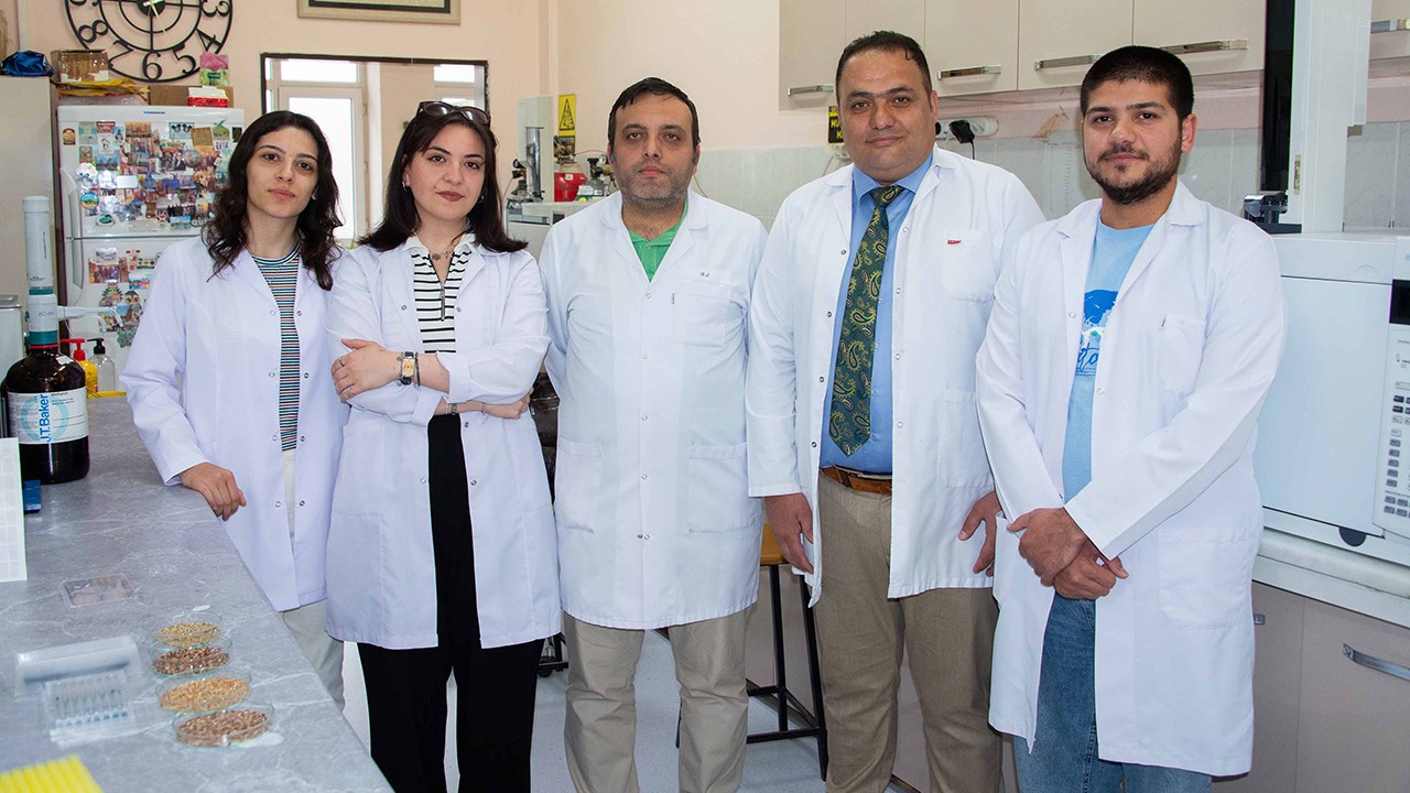 Selçuk Üniversitesi'nin Mor Mavi ve Siyah Buğday Projesi: Sağlıklı Gıdalara Yeni Bir Bakış