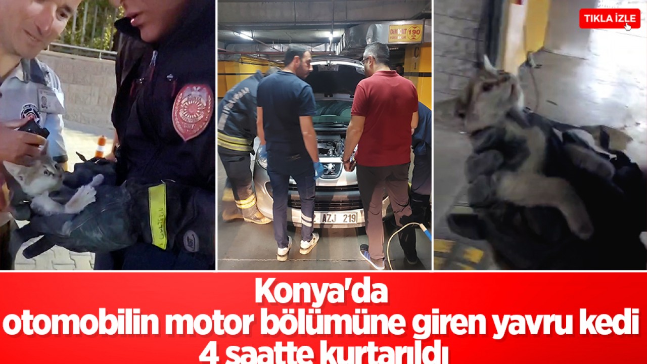 Konya'da Otomobil Motoruna Giren Yavru Kedi Kurtarıldı