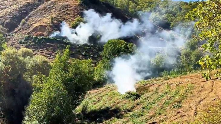 Diyarbakır'da Büyük Uyuşturucu Operasyonu: 7 Milyon Kök Kenevir ve Skunk Ele Geçirildi
