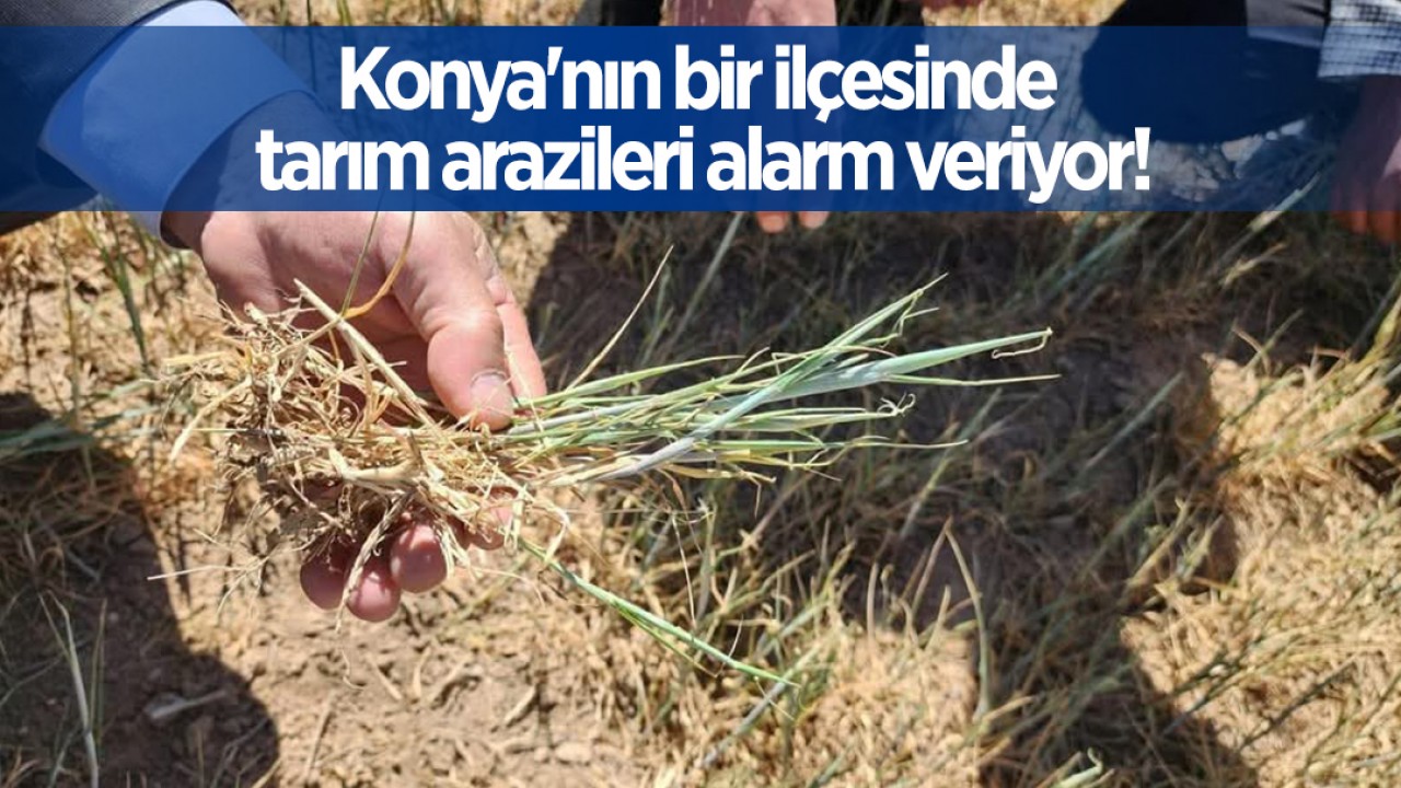 Konya'da Tarım Arazileri Kuraklık Alarmı Veriyor