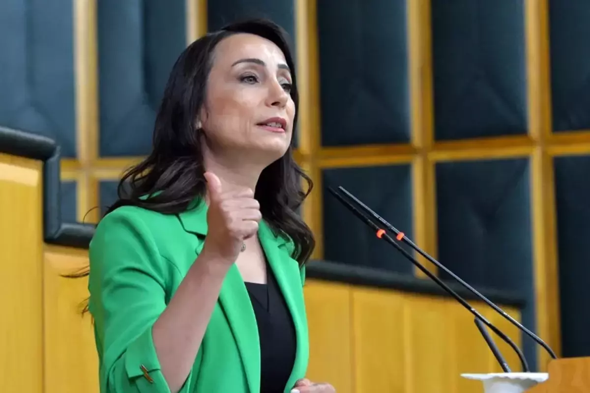 DEM Parti Eş Genel Başkanı Hatimoğulları: Kayyum Yasasının Lağvedilmesi Yerel Yönetimleri Güçlendirecek