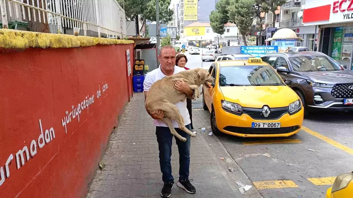 Duyarlı Taksici Hasta Köpeği Veterine Ulaştırdı