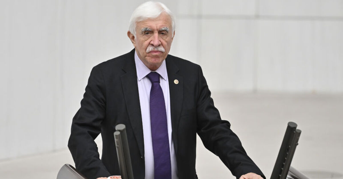 DEM Parti TBMM Başkanlığı İçin Cengiz Çandar'ı Aday Gösterecek