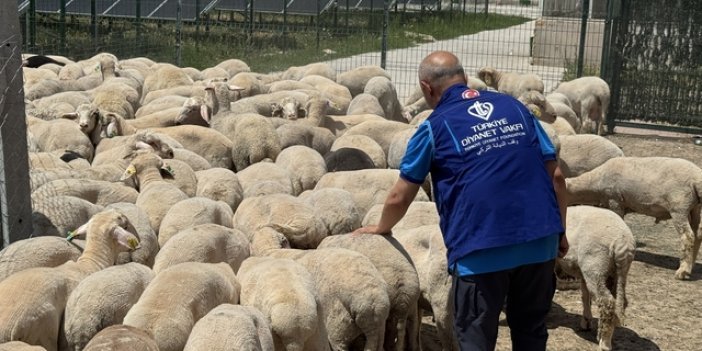 Konya'da Kurban Etleri 12 Bin 540 İhtiyaç Sahibi Aileye Ulaştırılacak
