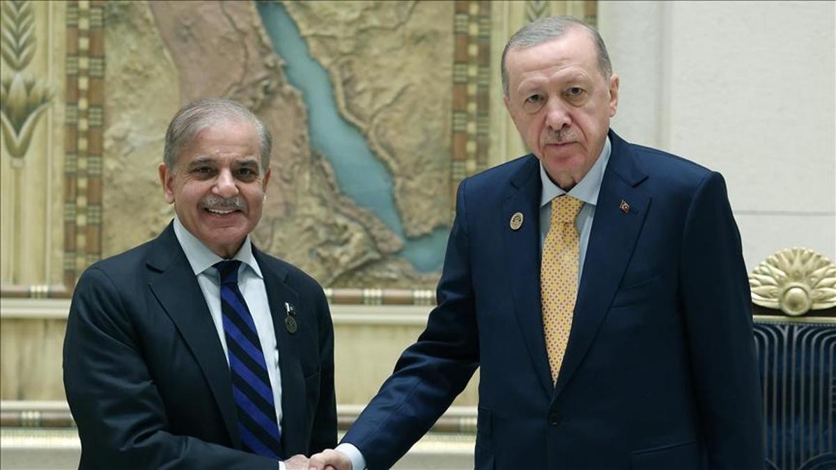 Cumhurbaşkanı Erdoğan Pakistan Başbakanı Şerif ile Görüştü