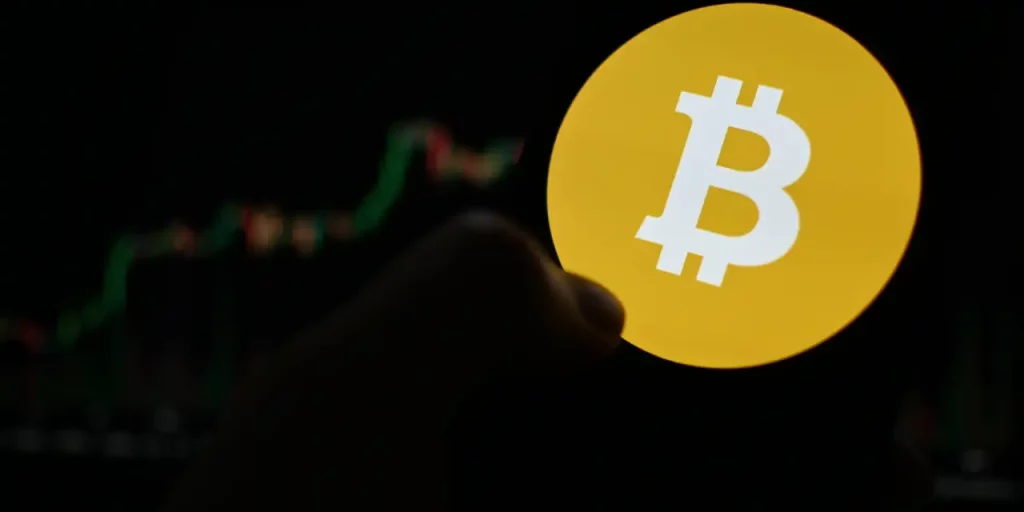 Bitcoin'e Karşı Önyargılar: Korku mu Kaçınma mı?