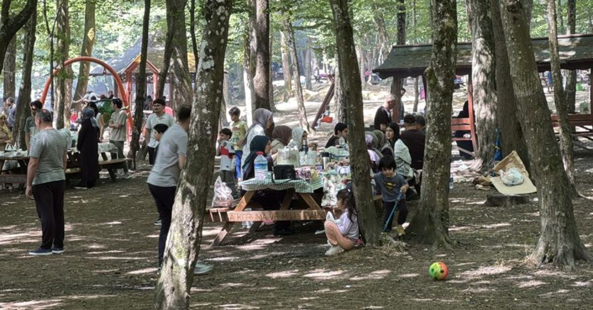 İstanbul'da Ormanlara Giriş Yasağı Duyurusu: 23 Haziran - 15 Ekim Arası