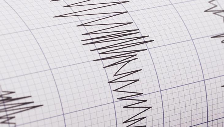 Adana'da 4.5 Büyüklüğünde Deprem: AFAD'dan Açıklama