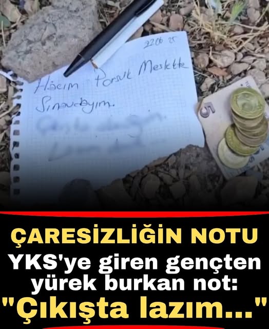 Gençlerin Çaresizliği Sosyal Medyada Yankı Buldu