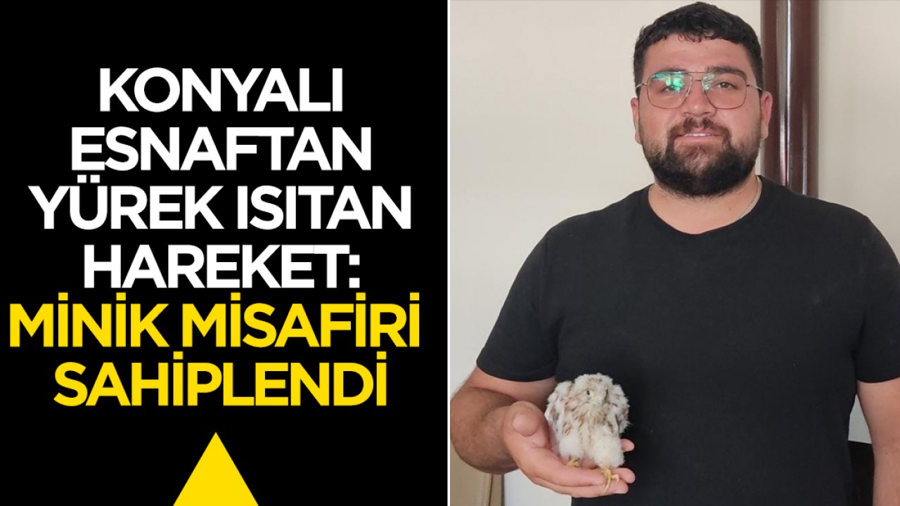 Konyalı Esnaftan Yüreklere Dokunan Yardım: Kerkenez Yavrusuna Sahip Çıktı