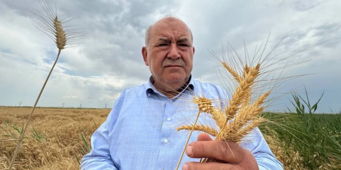 Konya Ovası'nda Rekoltede 1 Milyon Tonluk Düşüş Bekleniyor