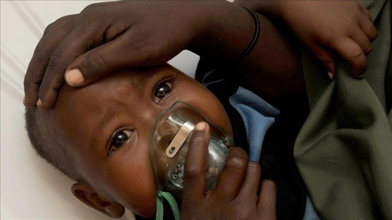Chikungunya Virüsü Küresel Salgın Tehlikesi: 56 Milyar Kişi Risk Altında