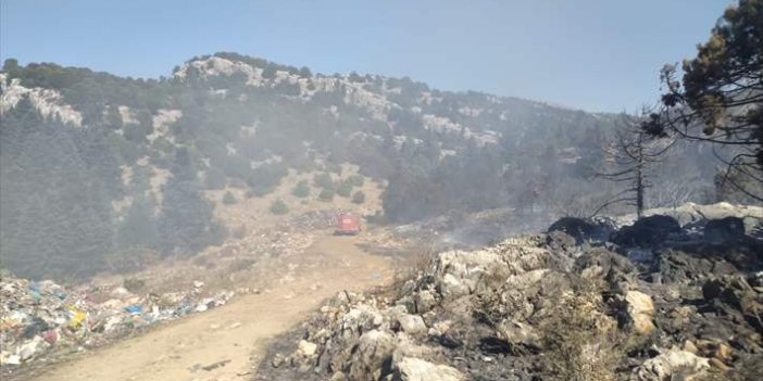 Konya Beyşehir'de Orman Yangını Kontrol Altına Alındı
