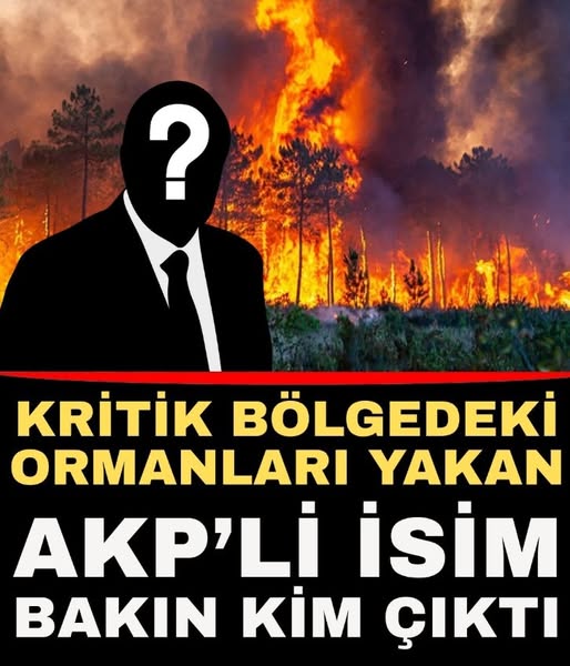 Orman Yangınlarına Neden Olduğu İddia Edilen Şahıs Yakalandı